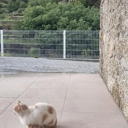 Dom wakacyjny Hortela Da Ribeira - Serra Da Estrela *