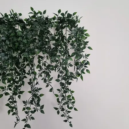 Casa vacanze Hortela Da Ribeira - Serra Da Estrela *