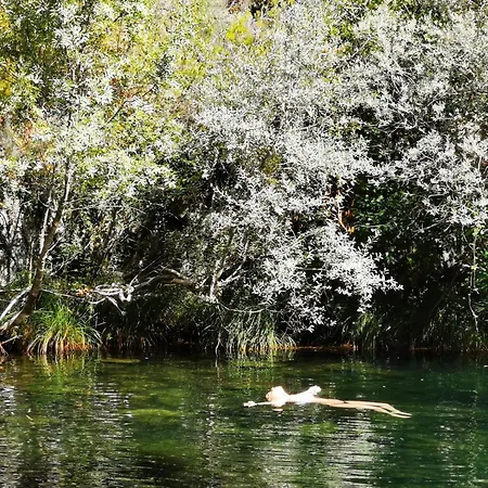 Dom wakacyjny Hortela Da Ribeira - Serra Da Estrela Cortes do Meio