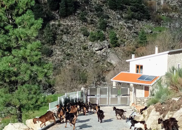 Nyaraló Hortela Da Ribeira - Serra Da Estrela