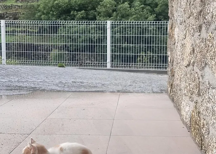 別荘 Hortela Da Ribeira - Serra Da Estrela *