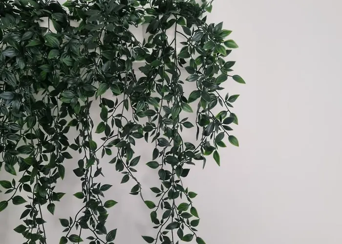 別荘 Hortela Da Ribeira - Serra Da Estrela *